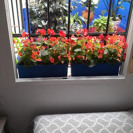 Puerta Sevilla Parking Gratis Cordoba Dış mekan fotoğraf