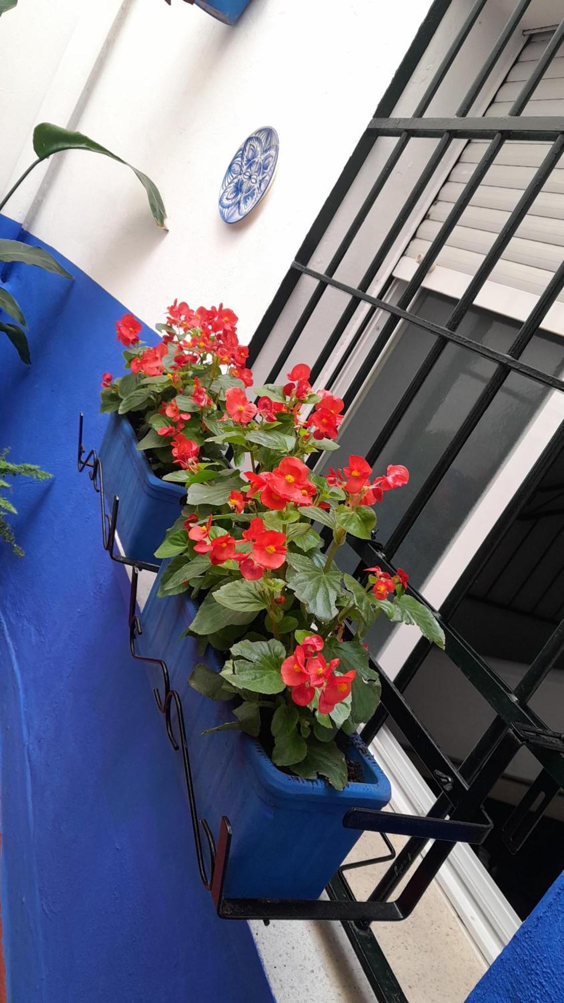 Puerta Sevilla Parking Gratis Cordoba Dış mekan fotoğraf
