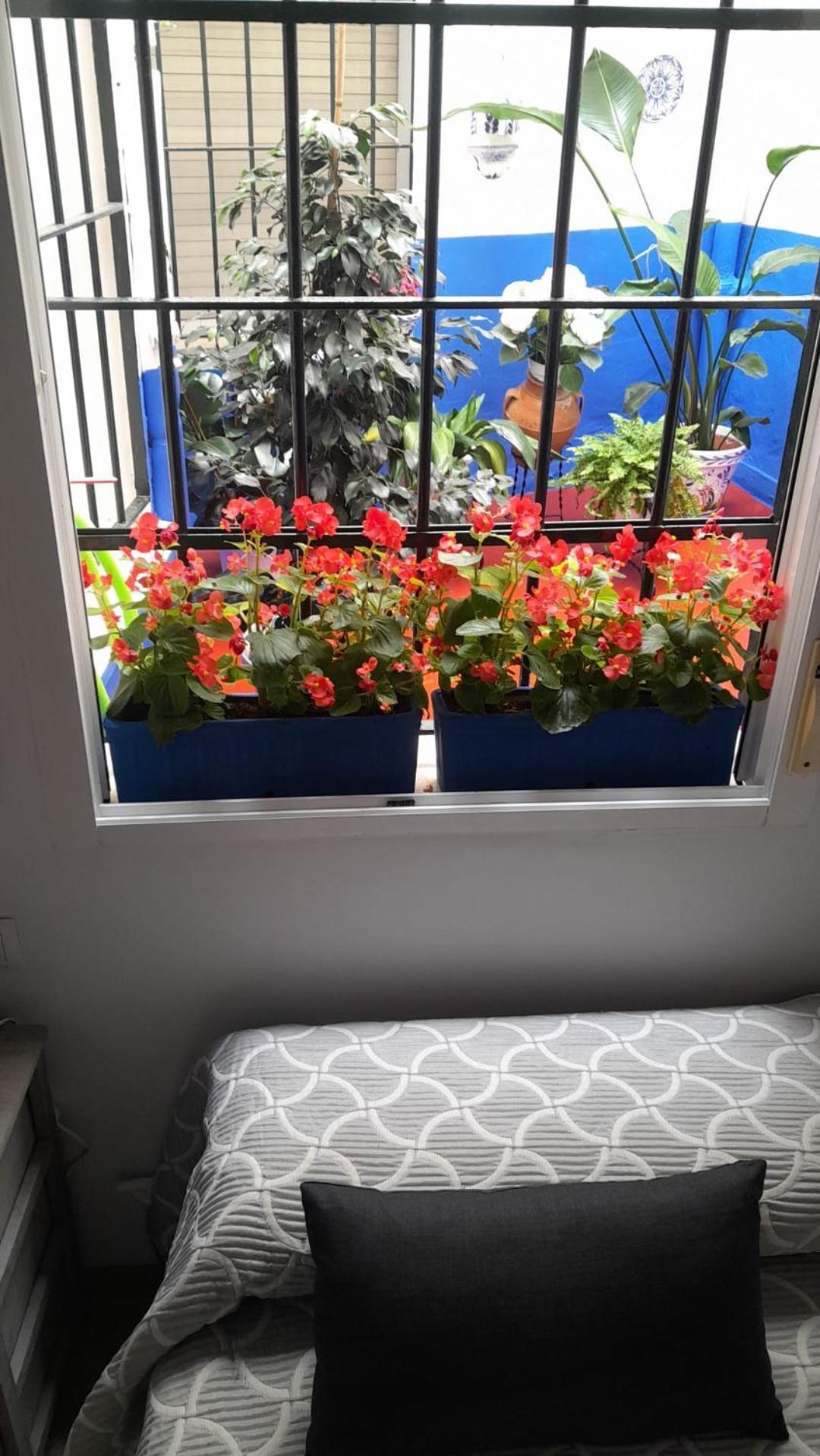 Puerta Sevilla Parking Gratis Cordoba Dış mekan fotoğraf