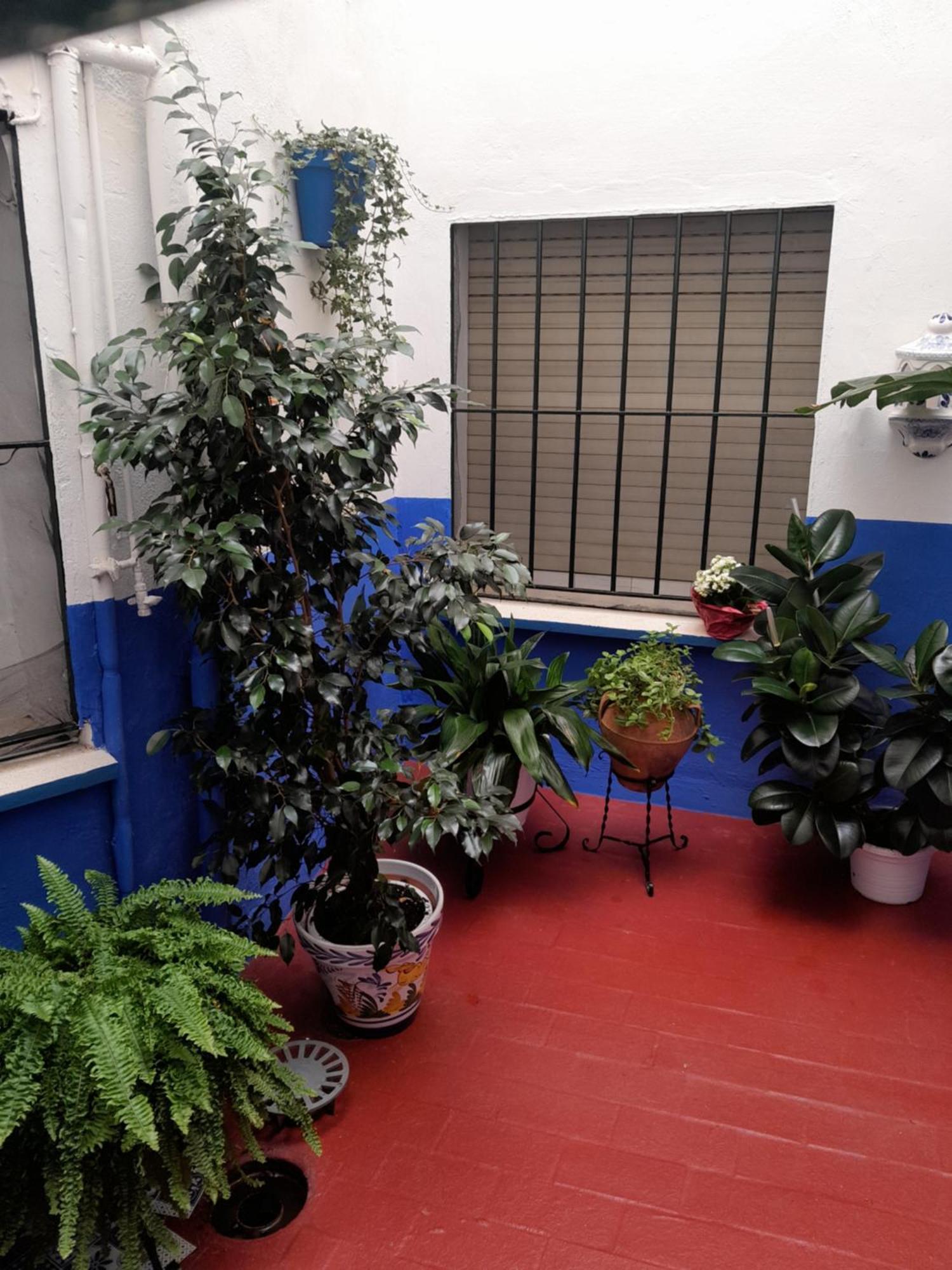 Puerta Sevilla Parking Gratis Cordoba Dış mekan fotoğraf
